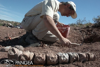 In Patagonia alla scoperta dei dinosauri