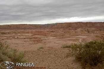 In Patagonia alla scoperta dei dinosauri