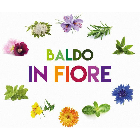 Baldo in fiore Baldo in fiore