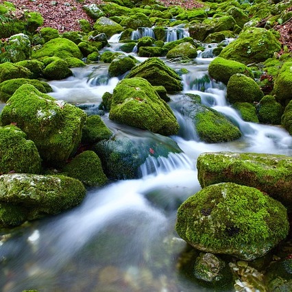 Percorsi d'acqua Percorsi d'acqua