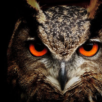 I venerdì della Zoologia-Biologia 2018 I venerdì della Zoologia-Biologia 2018