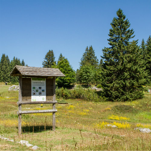 Giardino botanico Passo Coe Giardino botanico Passo Coe