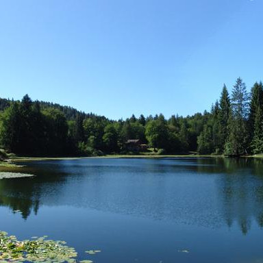 Passeggiata naturalistica al Lago di Cei Passeggiata naturalistica al Lago di Cei