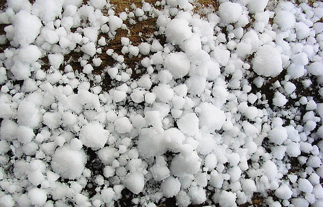 neve tonda neve tonda