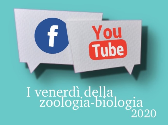 I venerdì della biologia-zoologia 2020 I venerdì della biologia-zoologia 2020