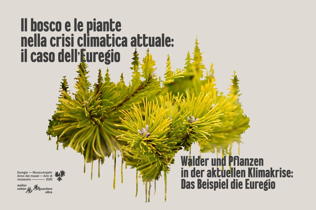 Progetto per l'Anno dei Musei Euregio 2025 