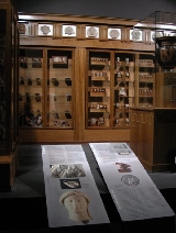 ARCHEOLOGIA - sala Paolo Orsi ARCHEOLOGIA - sala Paolo Orsi