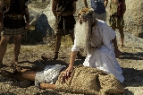 Immagine Rassegna 22