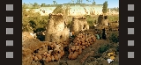 Immagine Rassegna 25 Immagine Rassegna 25