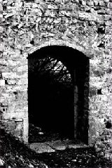 RICERCA-Dosso