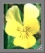 Orti botanici Orti botanici