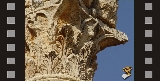 Immagine Rassegna 28
