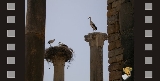 Immagine Rassegna 30