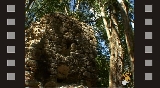 Immagine Rassegna 31