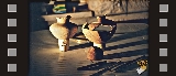 Immagine Rassegna 50