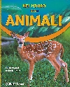 Nel Mondo degli Animali