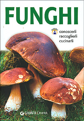 Funghi Funghi