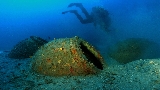 Immagine Rassegna 63