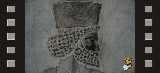 Immagine Rassegna 73