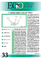 EcoNews n.33 - copertina EcoNews n.33 - copertina