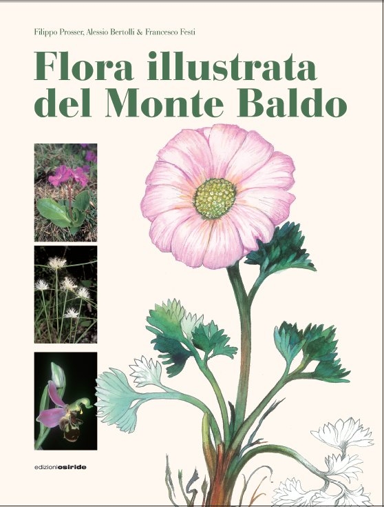 Flora illustrata del Monte Baldo