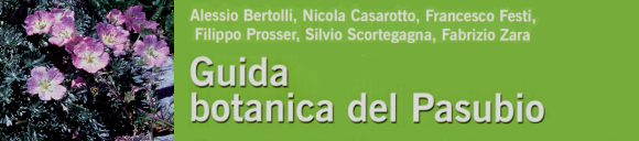Guida botanica del Pasubio