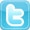 Icona Twitter