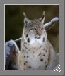 I venerd� della Zoologia 2013
